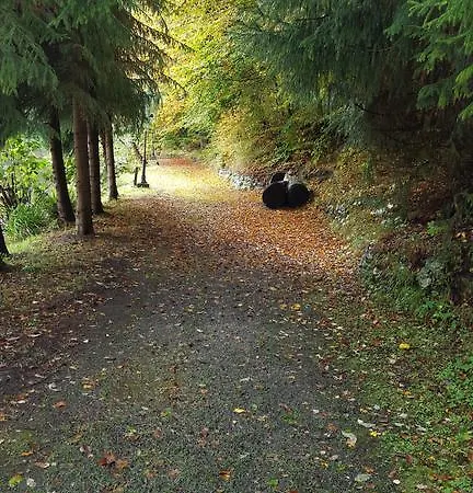 Gasthof Waldhotel Zur Holzmühle