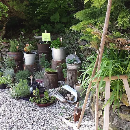 Waldhotel Zur Holzmühle Gasthof