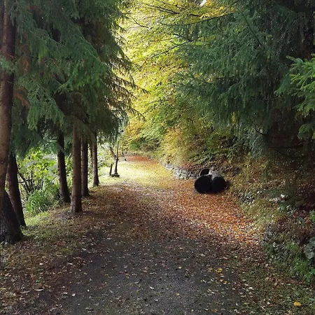 Waldhotel Zur Holzmühle Gasthof
